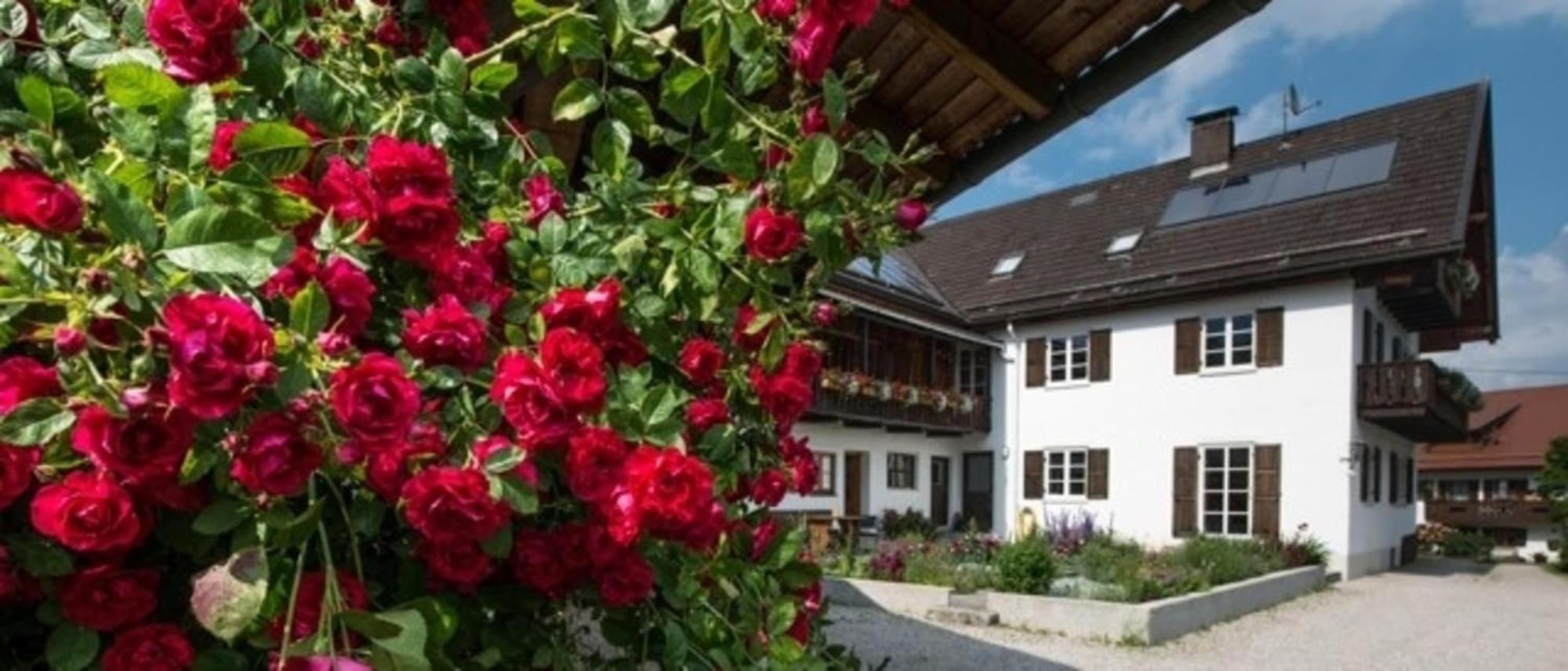 Ferienwohnung Lacherhof ซีเฮาเซน อัม สตาฟเฟลซี ภายนอก รูปภาพ